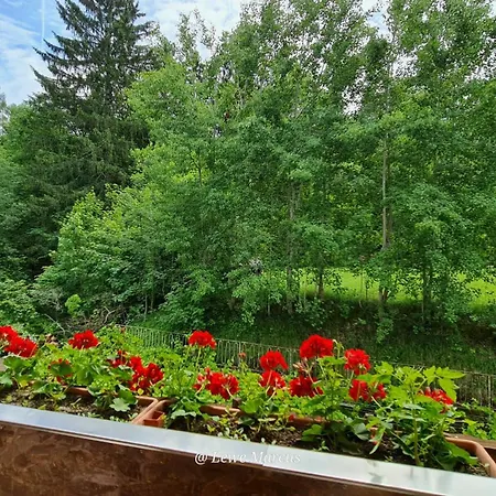 Appart-pension Seehang Velden am Wörthersee