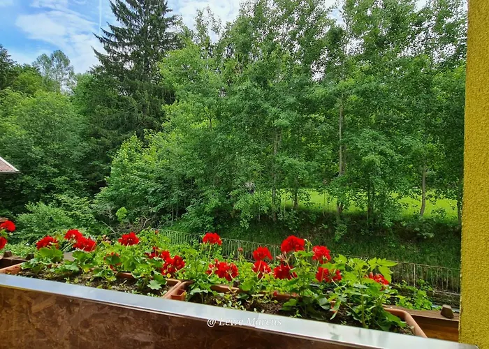 Appart-pension Seehang Velden am Wörthersee